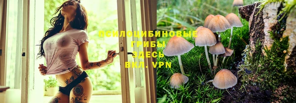 jwh Алексеевка